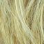 Affair Wig Ellen Wille Hair Society Collection - image light-honey-mix-64x64 on https://purewigs.com