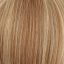 Sakura Long Wig Sentoo Premium - image Premium-713-1-64x64 on https://purewigs.com