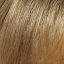 Tatum wig Amore Rene of Paris - image Harvest-Gold-64x64 on https://purewigs.com