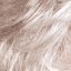 Tova wig Amore Rene of Paris - image Silver-Stone-64x64 on https://purewigs.com