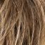 Calliope Wig Stimulate Ellen Wille - image bernstein-rooted-64x64 on https://purewigs.com