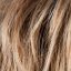Desire Wig Ellen Wille Hair Society Collection - image light-bernstein-64x64 on https://purewigs.com