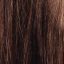 Kerafiber Hair Building Fibres (12g) - image medium-brown-64x64 on https://purewigs.com