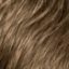 Charlie Wig Hair World - image 12h-1-64x64 on https://purewigs.com