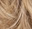 Abbie Wig Hair World - image 14h-1-64x59 on https://purewigs.com