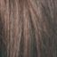 Charlie Wig Hair World - image 6h-1-64x64 on https://purewigs.com