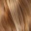 Charlie Wig Hair World - image Butterscotch-64x64 on https://purewigs.com