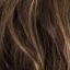 Ashley Wig Hair World - image burnt-cinnamon-64x64 on https://purewigs.com