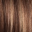 Ashley Wig Hair World - image toasted-pecan-64x64 on https://purewigs.com