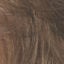 Frankie Wig Hair World - image 12-30BT-64x64 on https://purewigs.com