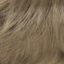 Eve Wig Hair World - image 18-22-64x64 on https://purewigs.com